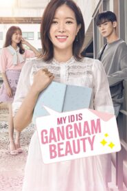 My ID is Gangnam Beauty (2018) Hindi Dubbed Drama