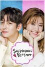 Suspicious Partner (2017) Hindi Korean Drama