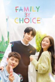 Family by Choice (2024) Korean Drama