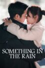 Something in the Rain (2018) Hindi Korean Drama