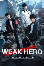 Weak Hero Class 1 (2022) Hindi English Korean Drama