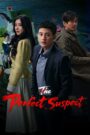 The Perfect Suspect (2025) Chinese Drama