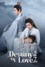 Destiny of Love (2025) Chinese Drama
