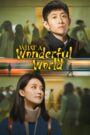 The Wonderful World (2025) Chinese Drama