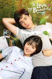 A Love So Beautiful (2017) Chinese Drama