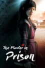 The Flower in Prison (2016) Korean Drama