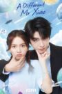 A Different Mr. Xiao (2023) Chinese Drama