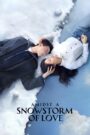 Amidst a Snowstorm of Love (2024) Chinese Drama