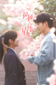 Shining For One Thing (2022) Hindi Chinese Drama