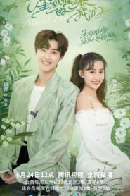 Almost Famous (2022) Chinese Drama
