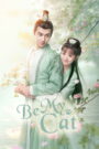 Be My Cat (2021) Chinese Drama