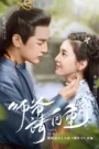 Love is All (2020) Chinese Drama