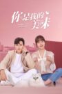 Healing Food, Healing Love (2022) Chinese Drama
