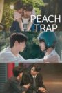 Peach Trap (2025) BL Drama