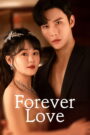 Forever Love (2023) Chinese Drama