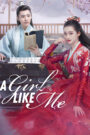 A Girl Like Me (2021) Chinese Drama